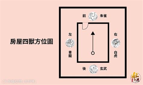 客廳青龍方|【風水指南】屋內如何分辨「左青龍、右白虎」？詹惟。